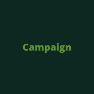 Past Campaigns