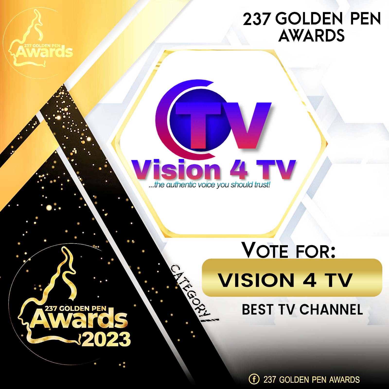 Vote: Vision 4 TV - Past Campaigns - VoteFunded.com
